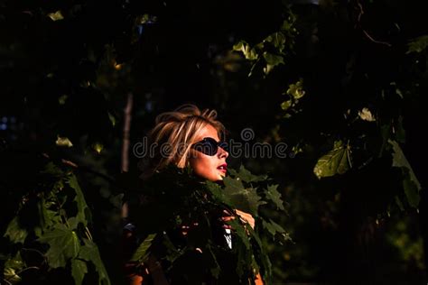 Beautiful Blonde Woman In The Autumn Forest At Sunset Stock Image Image Of Landscape Cute