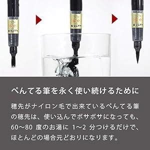 Pentel Fude Brush Pen Tsumiho Xfl2U Black Amazon In Office Products