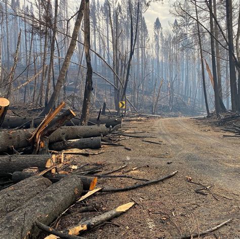 Beachie Creek Fire Not Expected To Grow Significantly Tuesday Katu