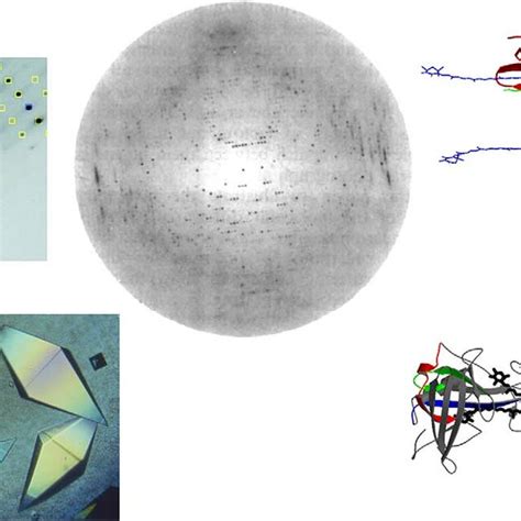 A Representative Set Of Macromolecular Crystallography Crystals