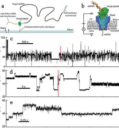 UW Nanopore