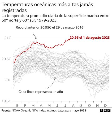 Los Gráficos Que Muestran El Calentamiento Récord De Los Océanos Y Sus