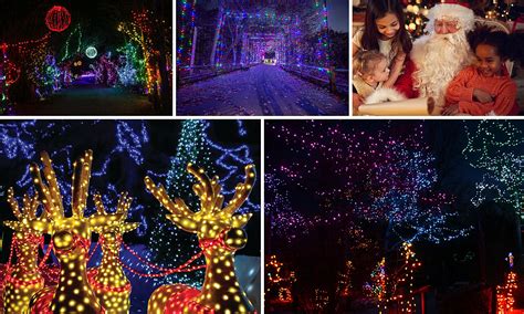 Annual Roger Williams Park Zoo Holiday Lights Spectacular - Kids in ...