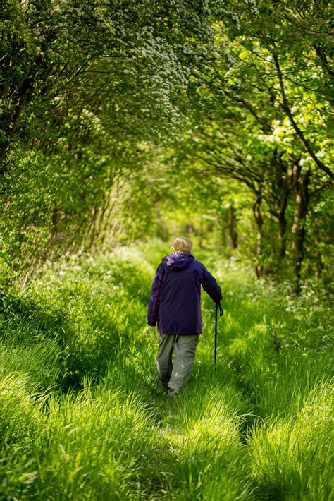 Great Walking Destinations - Senior Travel Buddies