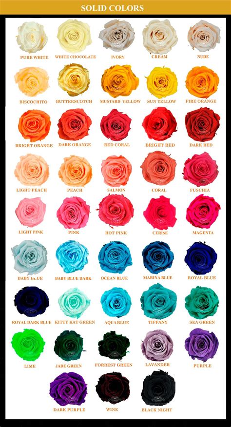rose varieties ideas planting flowers rose varieties types  flowers