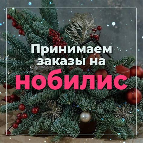 Нобилис-лапник купить в Москве | Планета Флора