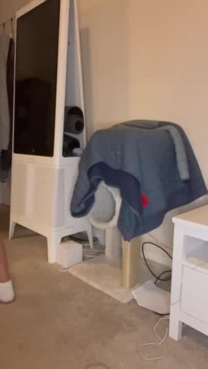 Ass Fucking Buttplug Bi Atch Has To Be Silent So Her Roommate Doesnt Hear Hotntubes