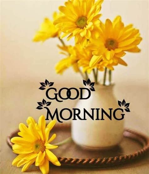 Good Morning Flower Images Good Morning Flowers Quotes Good Morning Flowers Good Morning