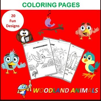 Birds coloring pages - Birds coloring sheets - coloring book | TPT