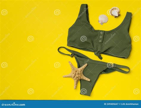 Beau Bikini Vert En Couleur Fond De La Vue Image Stock Image Du Moderne Fille 249405647