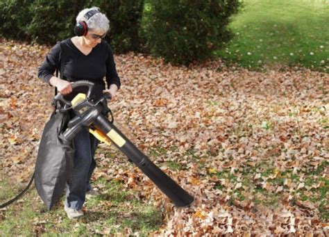 How To Choose The Best Leaf Mulcher All Peers