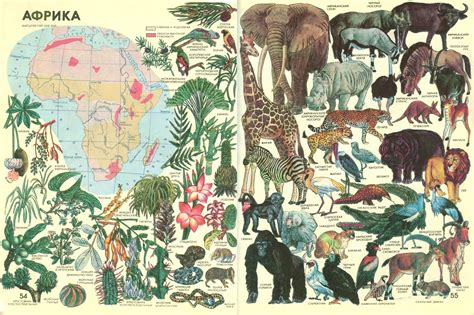 Pin di Sofía Barbará su Estampas ideas nel 2024 | Illustrazioni