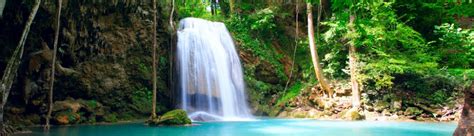 Costa Rica: The Monteverde Cloud Forest (by Lauren Carter & Andrea ...