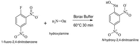 Reaction Scheme Of 1 Fluoro 2 4 Dinitrobenzene With Hydroxylamine