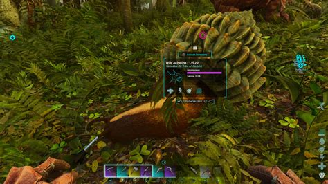 How To Obtain Achatina In Ark Survival Ascended