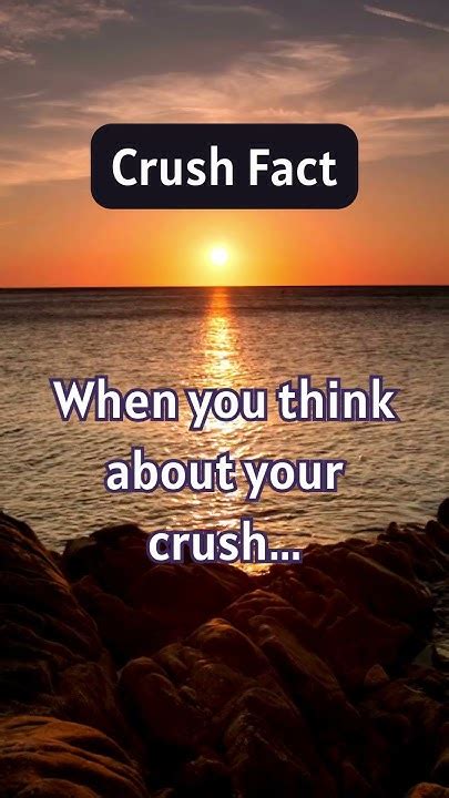 Fascinating Facts You Wont Believe Crush Fact Youtube