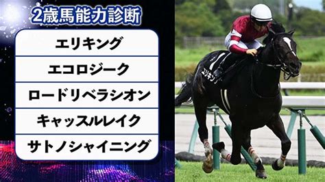 【2歳馬能力診断】川田騎手騎乗のエリキングが出世レースを制し2連勝！丹下日出夫 競馬予想動画 Netkeiba