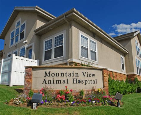 Our Hospital | VCA Mountain View Animal Hospital