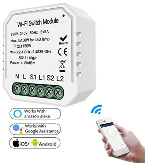 Smart Wifi 10amp 2 Gang Switch Diy Module For Smart Home Automation