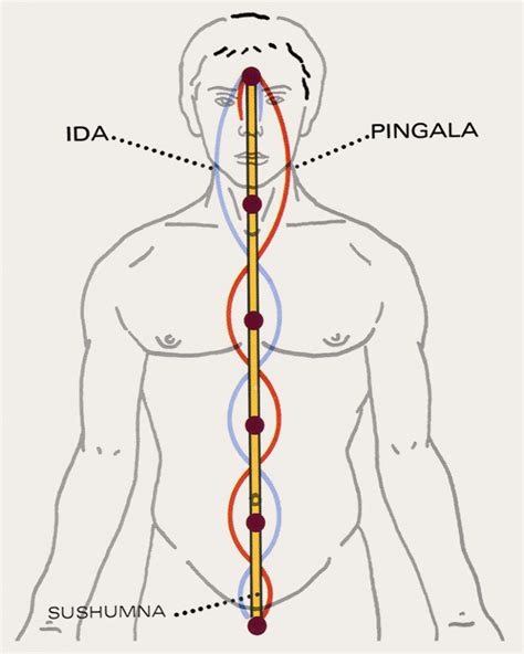 Kundalini Symbols – Anne-Marie