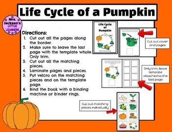 Fall Pumpkin Interactive and Adapted Books BUNDLE | TPT