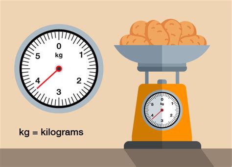 How To Read The Weighing Scale