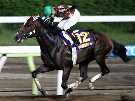 東京ダービー 大井競馬場 2023年6月7日の競馬日記 東京競馬場どっとこむ