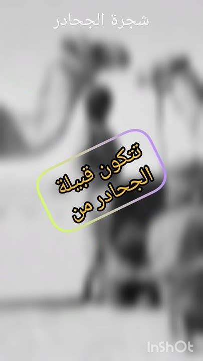 شجرة الجحادر قحطان Youtube