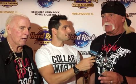 Hulk Hogan Says His WWE Return's Moving 'Quite Quickly'