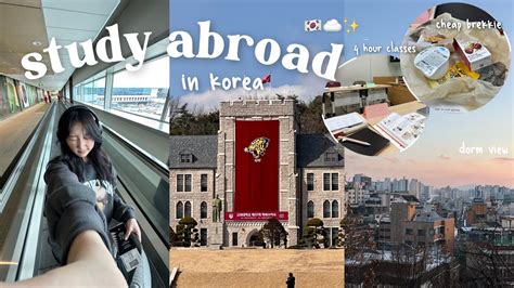 Moving To Korea Korea University Dorm Tour Different Campus