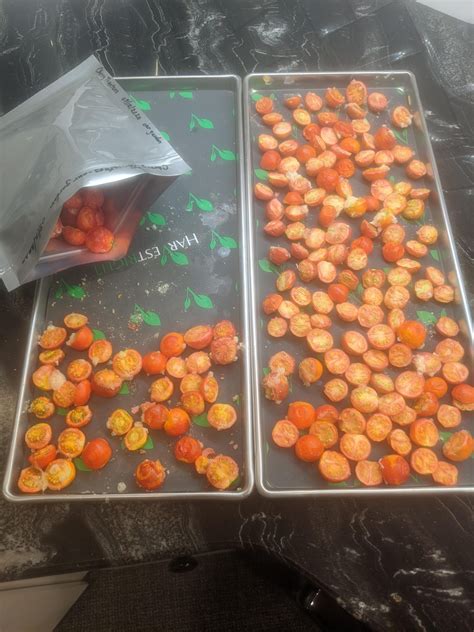 How To Freeze Dry Tomatoes Freeze Drying Mama