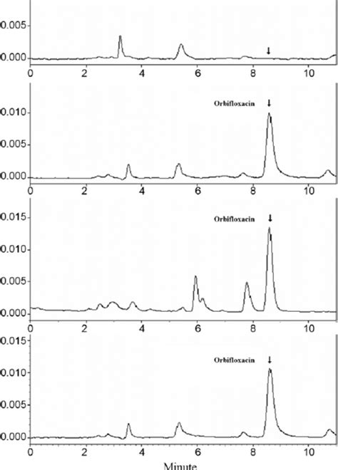 Representative Hplc Chromatograms Of A Blank Plasma B Plasma