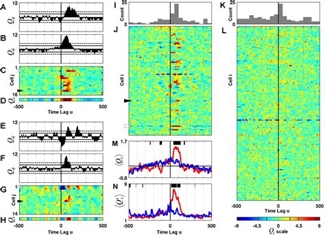 Prefrontal Phase Locking To Hippocampal Theta Oscillations Neuron