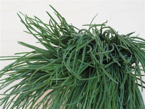 รูปภาพAgretti – เลือกดูภาพถ่ายสต็อก เวกเตอร์ และวิดีโอ15,903 | Adobe Stock