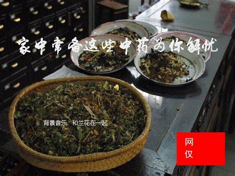 家中常备这些中药为你解忧ppt课件 Ppt文档资料word文档在线阅读与下载免费文档