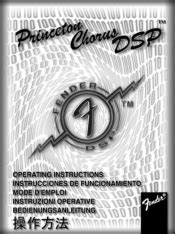 Fender Princeton Chorus DSP Manual