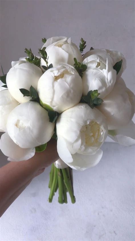 Свадебный букет из пионов и эвкалипта | Casamento, Ideias