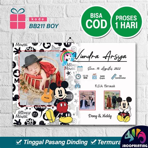 Jual Kado Hadiah Cetak Foto Bayi Biodata Bayi Baby Born Boy Girl