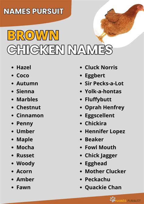 270+ Brown Chicken Names [Cute, Funny, & More]