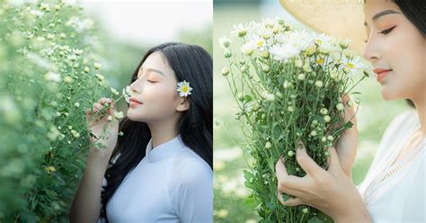 Hot girl Ham TV mong manh đẹp tựa nàng thơ bên vườn cúc họa mi đầu mùa Netizen Việt Giải Trí