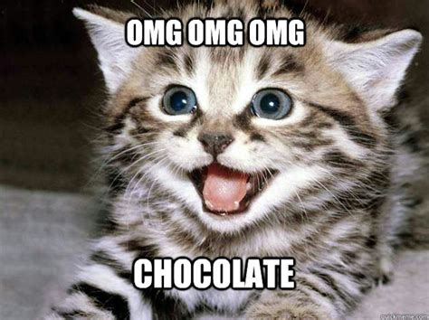 12 Memes About Chocolate In Honor Of National Chocolate Day That Are Absolutely Mouth Watering