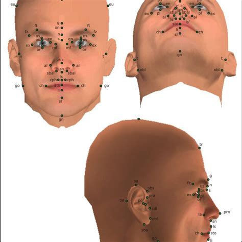 Some Facial Landmarks Download Scientific Diagram