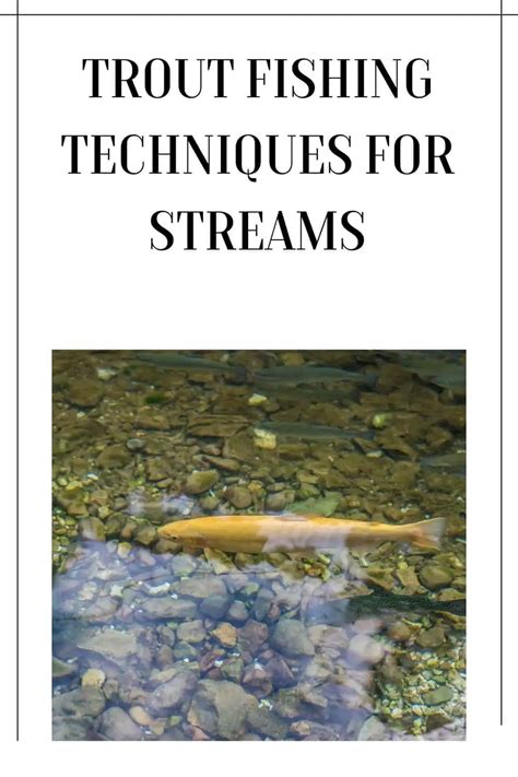 Mastering Trout Fishing Techniques For Streams Tips And Tricks For A