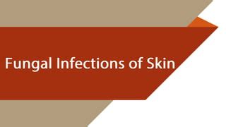 Fungal Infections of Skin, Soft tissue.pptx | Skin and Dermatology ... 