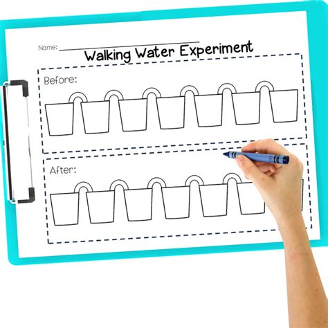 Walking Water Experiment For Kids Sarah Chesworth