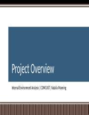 Milestone One Mba Pptx Project Overview Internal Environment