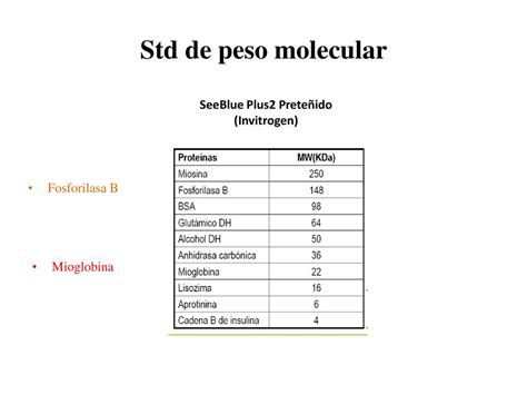 Resultados Page Sds Inducci N De Prote Na Recombinante Ppt Descargar