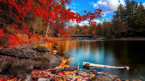 Fall Foliage Desktop Wallpaper ·① Wallpapertag