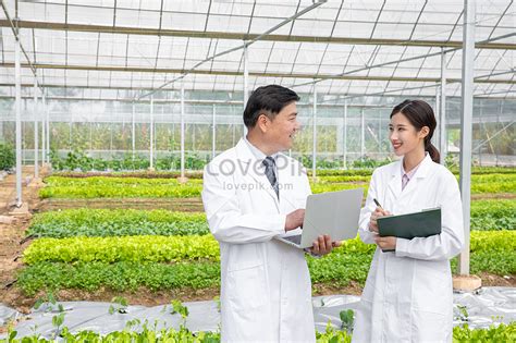 Agricultural Cultivation Scientists Holding Computer Research Picture ...