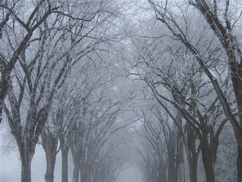 Winnipeg winter. | Winter, Winnipeg, Outdoor